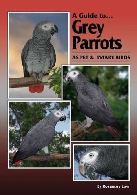 Grey Parrots as Pets and Aviary Birds book