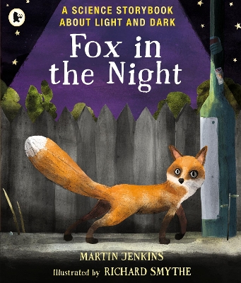 Fox in the Night: A Science Storybook About Light and Dark by Martin Jenkins