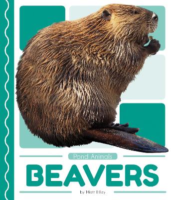 Pond Animals: Beavers book
