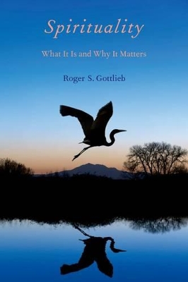 Spirituality by Roger S. Gottlieb