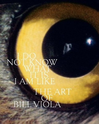 I Do Not Know What It Is I Am Like: The Art of Bill Viola book