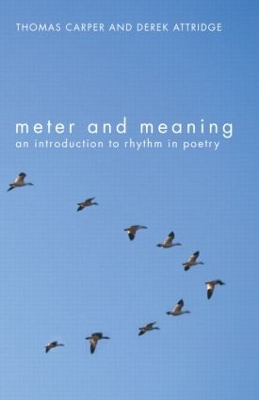 Meter and Meaning book