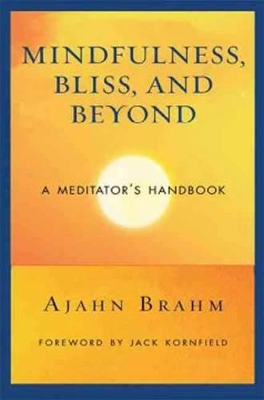 Mindfulness Bliss and Beyond book