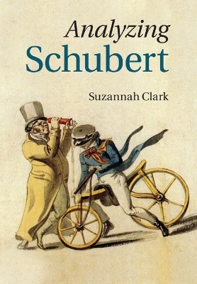 Analyzing Schubert book