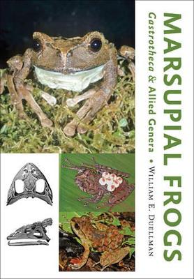 Marsupial Frogs book