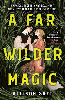 A Far Wilder Magic: The instant New York Times bestseller by Allison Saft