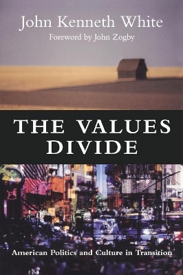 Values Divide book