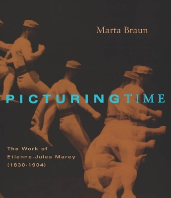 Picturing Time book