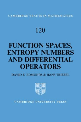 Function Spaces, Entropy Numbers, Differential Operators book