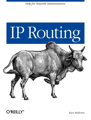 IP Routing book