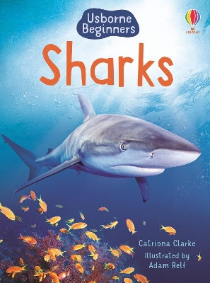 Sharks by Catriona Clarke