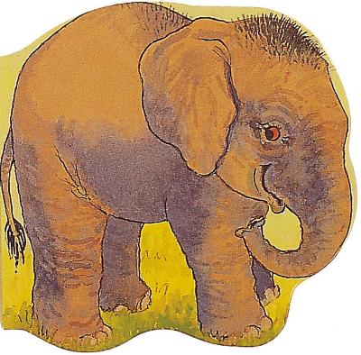 Pocket Elephant book