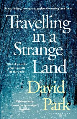 Travelling in a Strange Land: Winner of the Kerry Group Irish Novel of the Year book