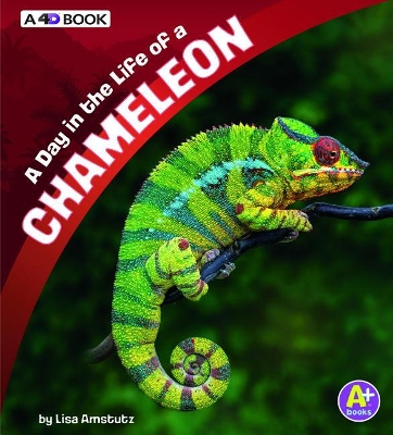 Day in the Life of a Chameleon by Lisa J. Amstutz