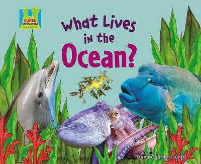 What Lives in the Ocean? book