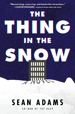 The Thing in the Snow: A Novel book