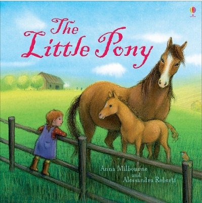 Little Pony book