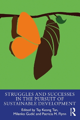 Struggles and Successes in the Pursuit of Sustainable Development by Tay Keong Tan