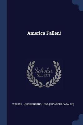 America Fallen! book