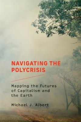 Navigating the Polycrisis: Mapping the Futures of Capitalism and the Earth book