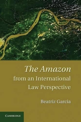 Amazon from an International Law Perspective book