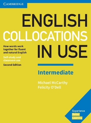 English Collocations in Use Intermediate Book with Answers book