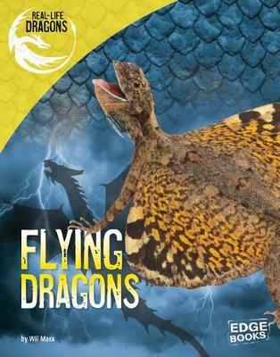 Flying Dragons by Wil Mara