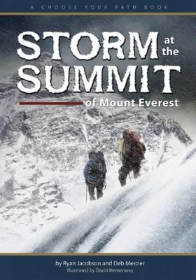 Storm at the Summit of Mount Everest by Ryan Jacobson
