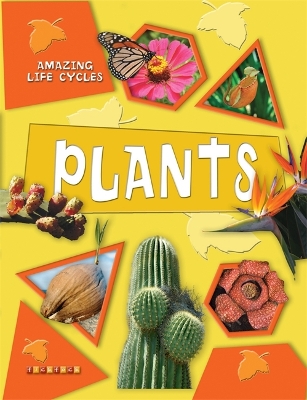 Amazing Life Cycles: Plants book