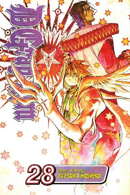 D.Gray-man, Vol. 28: Volume 28 book