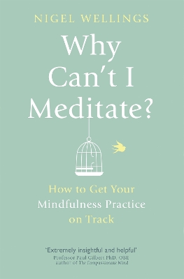 Why Can't I Meditate? by Nigel Wellings