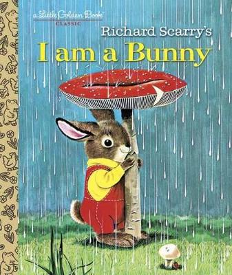 I am a Bunny book