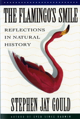 Flamingo's Smile book