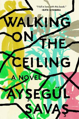 Walking on the Ceiling: A Novel book