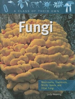 Fungi by Judy Wearing