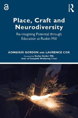 Place, Craft and Neurodiversity: Re-imagining Potential through Education at Ruskin Mill book