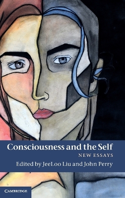 Consciousness and the Self book