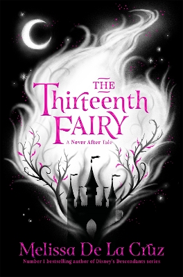 The Thirteenth Fairy book