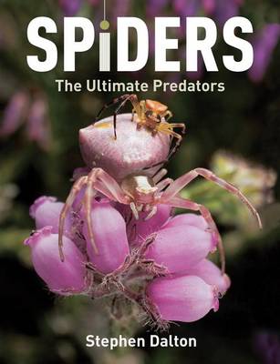 Spiders: the Ultimate Predators book