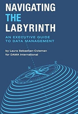 Navigating the Labyrinth: An Executive Guide to Data Management book