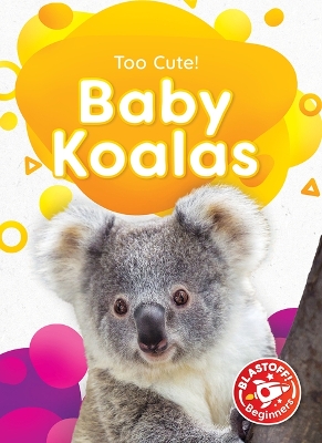 Baby Koalas book