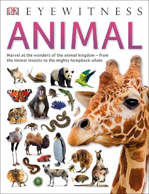 Animal book
