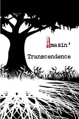 Amazin' Transcendence book