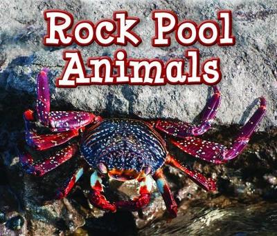 Rock Pool Animals by Sian Smith