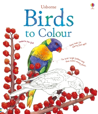 Birds to Colour book