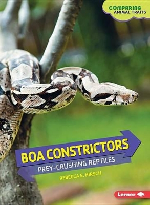 Boa Constrictors by Rebecca E Hirsch