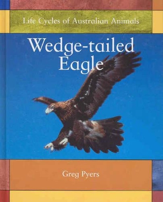 Wedge-Tailed Eagle by Greg Pyers