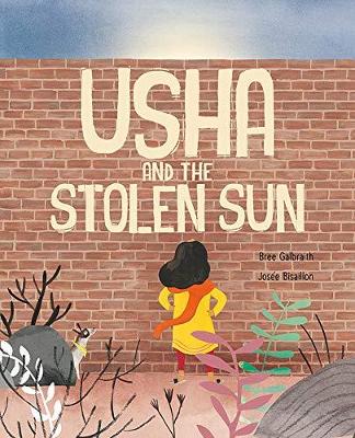 Usha and the Stolen Sun book