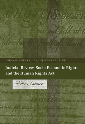 Judicial Review, Socio-economic Rights and the Human Rights Act book