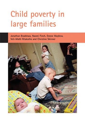 Child poverty in large families book